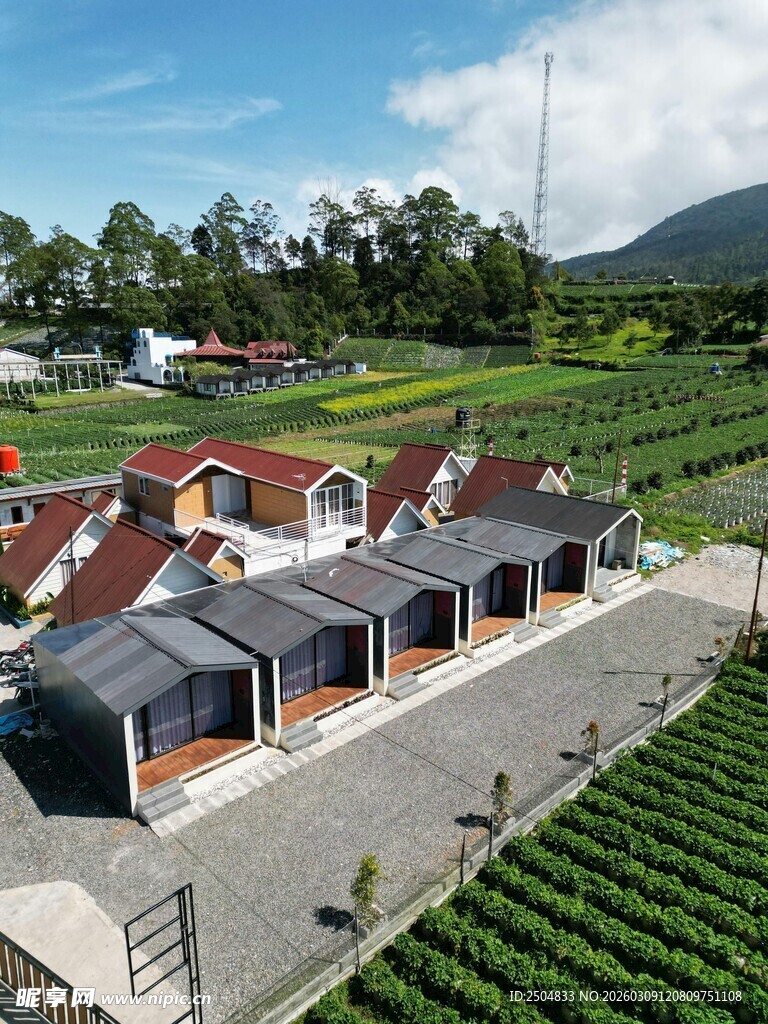 田园风格特色建筑群