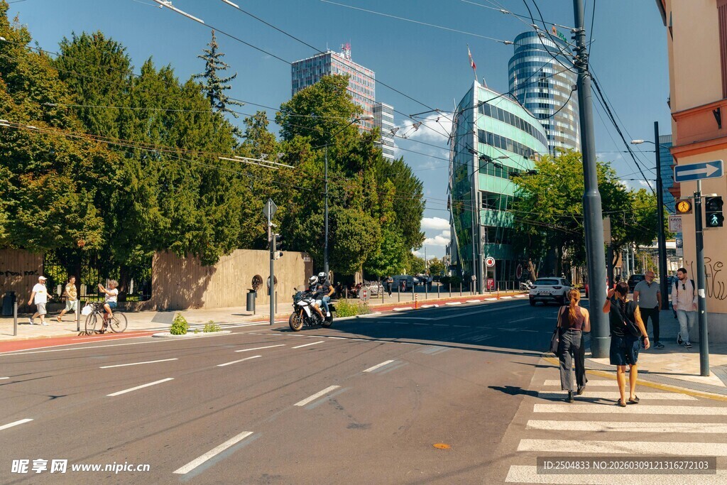 城市街道行人与绿树景观