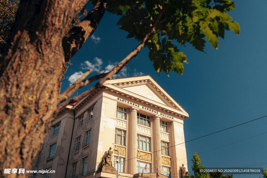 树旁古典建筑的独特景致