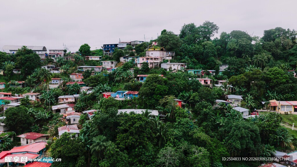 俯瞰绿树环绕的村落