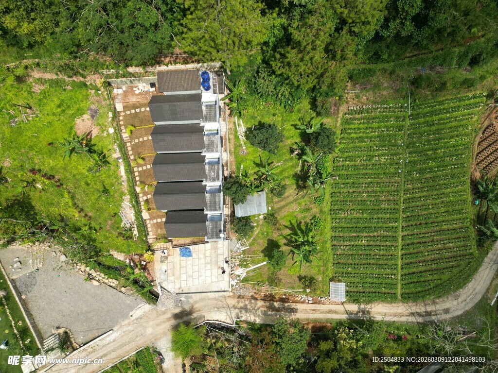 山间村落房屋与梯田景观
