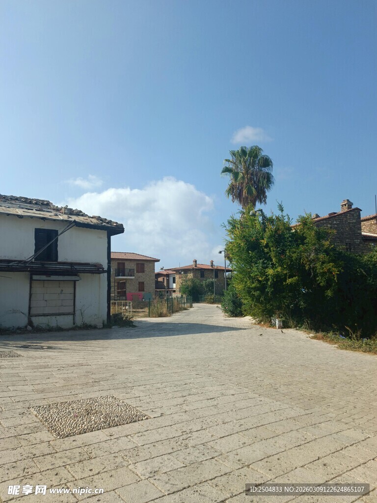 空旷街道旁的建筑与绿植