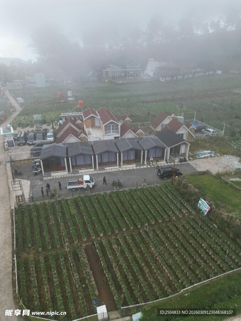 雾中乡村田园风光