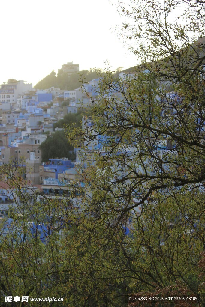 春日山林间的村落景致