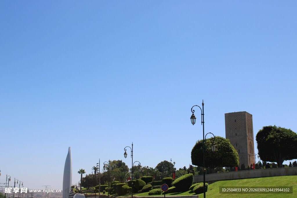 城市中的绿意与建筑景观