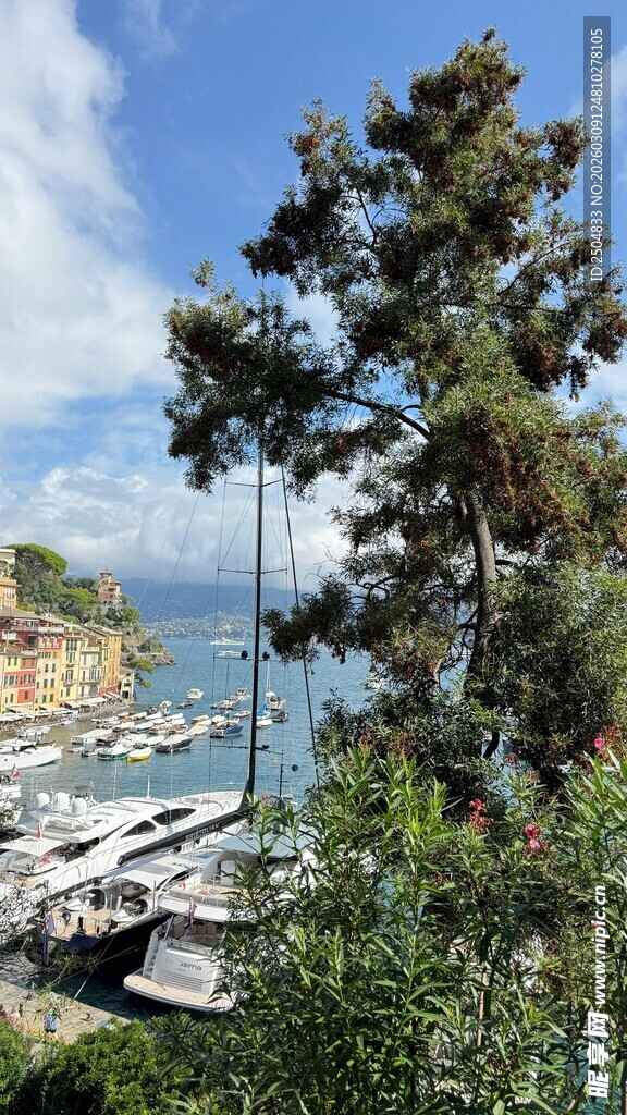 海边绿树环绕的停泊码头