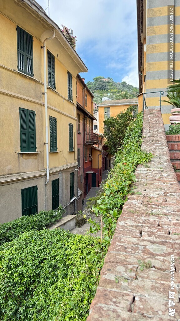 意大利小巷的绿植风景