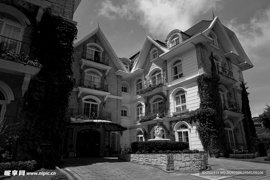 复古风格的多层欧式建筑