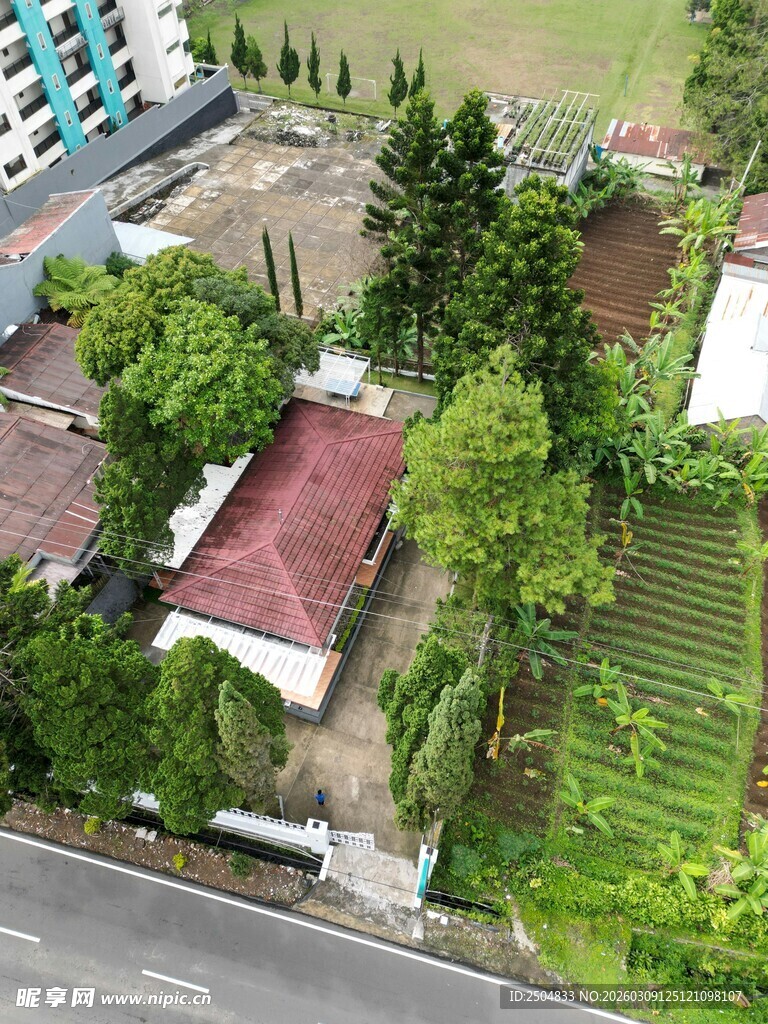 俯瞰城郊住宅与绿植景观