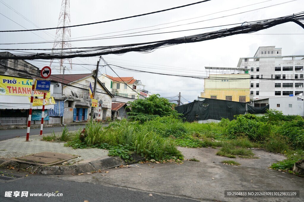 荒废空地杂草丛生景象