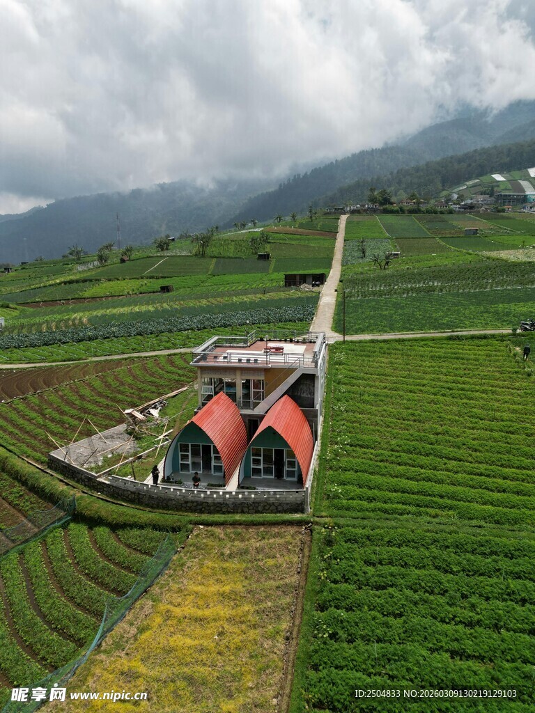 田园中的彩色列车穿行