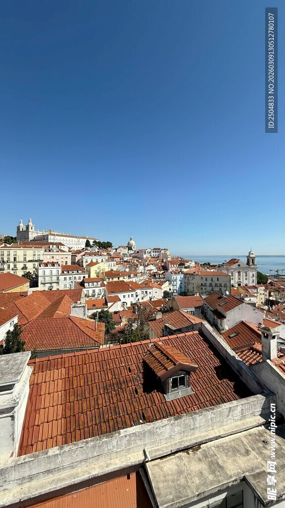 俯瞰红顶建筑的城市景观