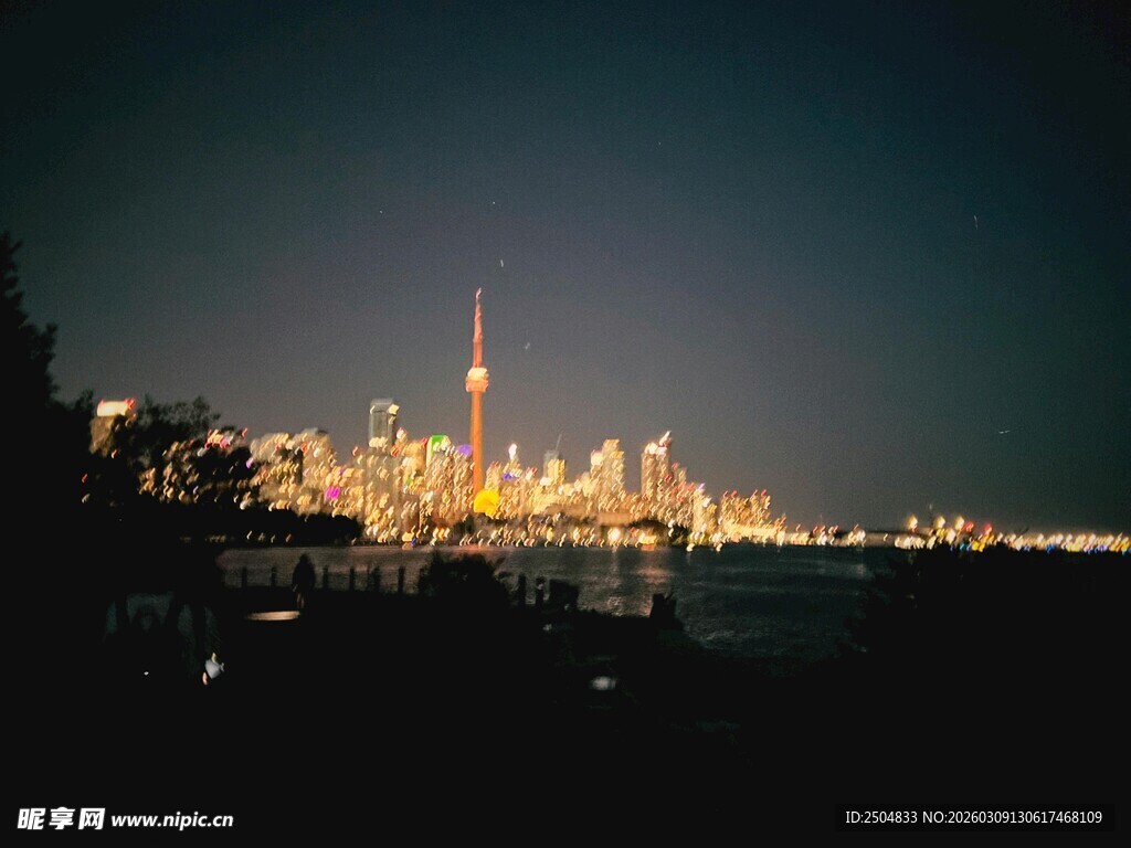多伦多夜景璀璨天际线