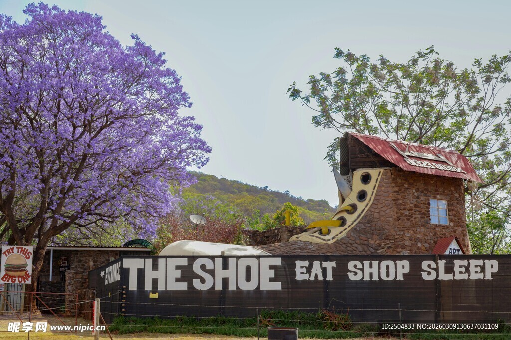紫花树下的鞋店招牌