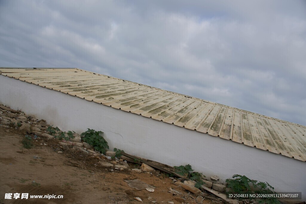 农田中的白色大棚