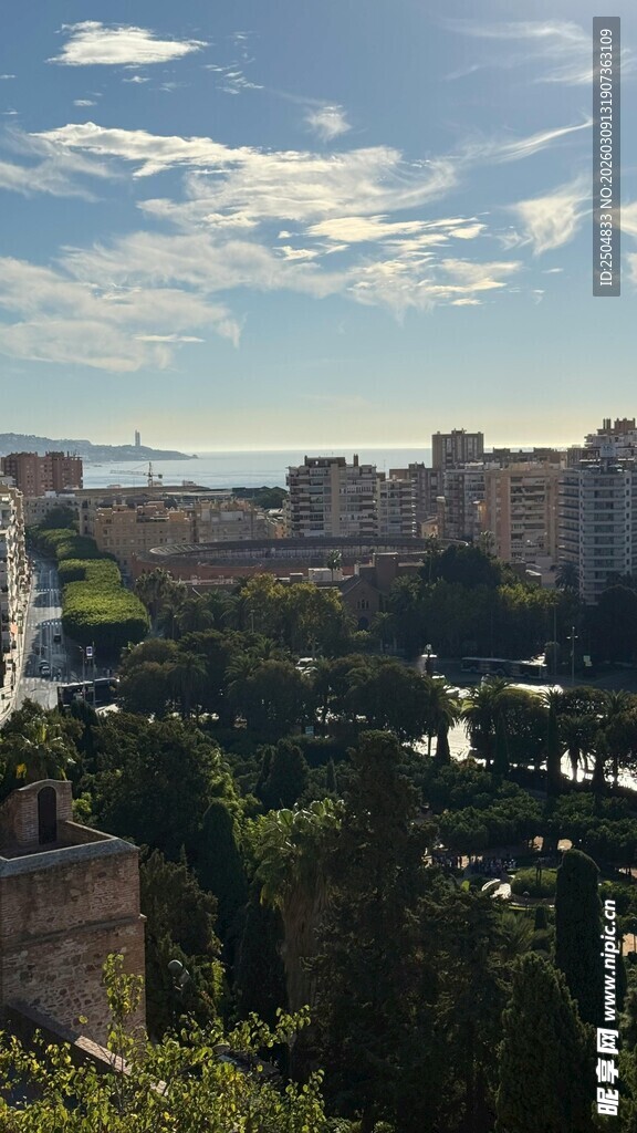城市景观与葱郁绿植远眺
