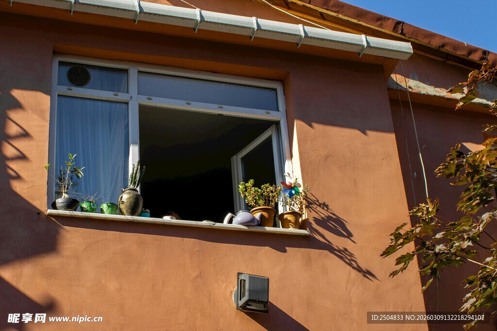 窗边绿植装点温馨小屋
