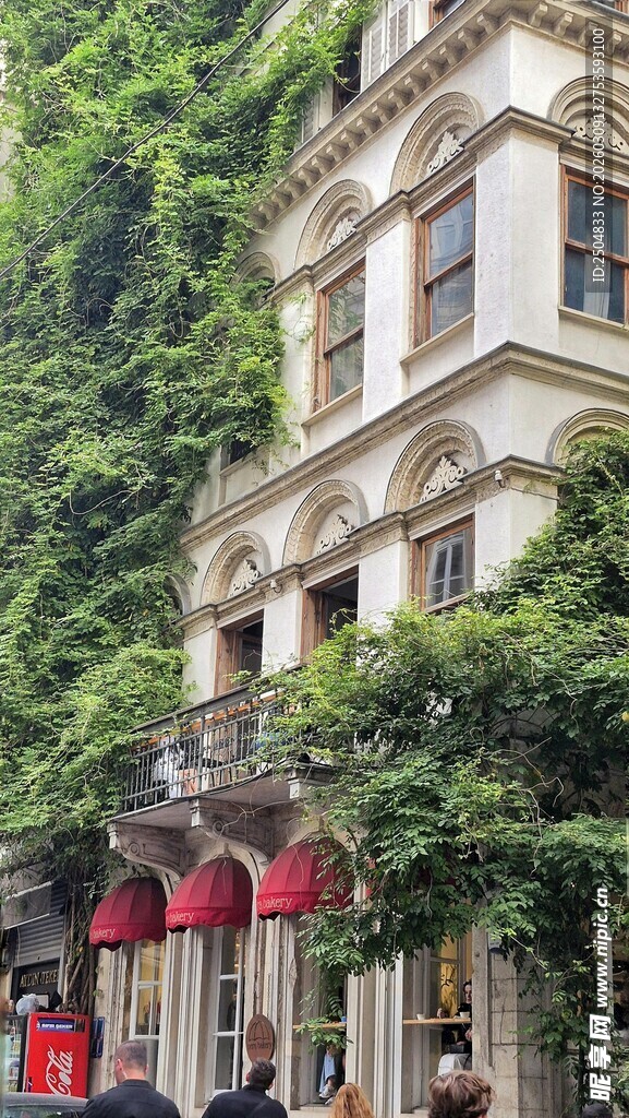 欧式建筑旁绿意盎然景象