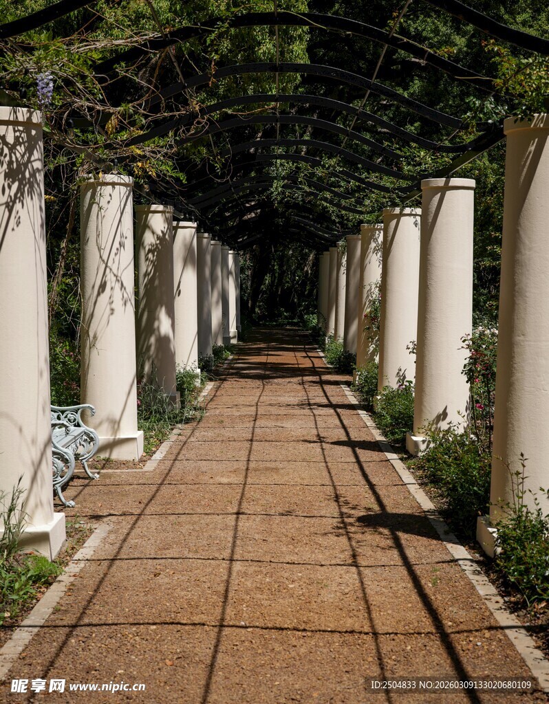幽静柱廊下的砖石小道