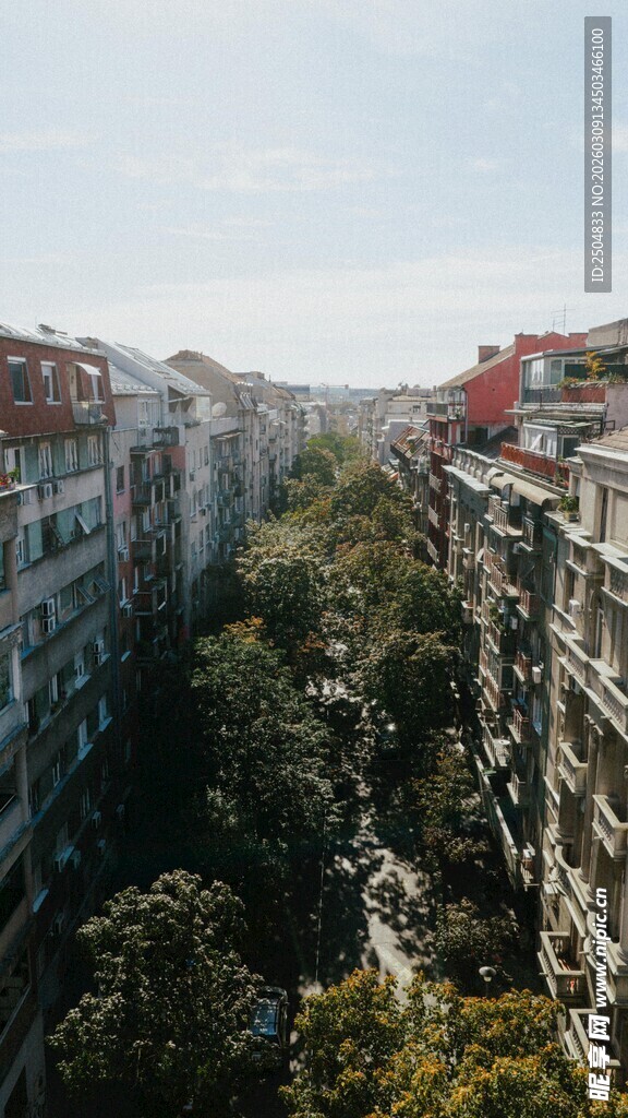 城市中林立的楼房与绿树