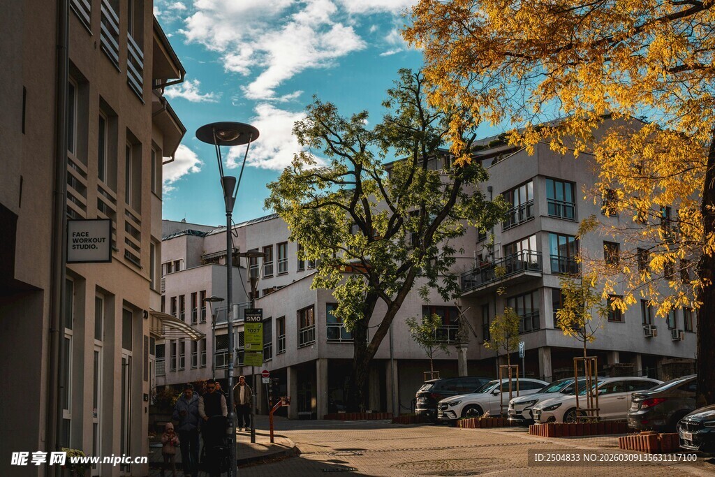 秋日街道的静谧风景