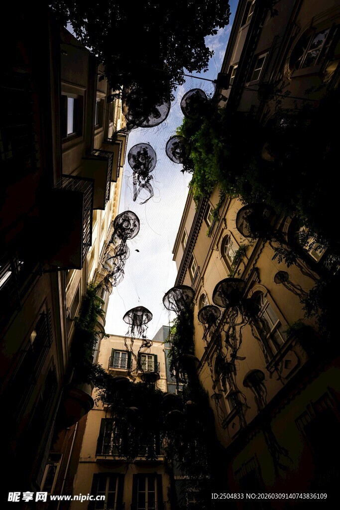 狭窄街巷中的建筑与绿植