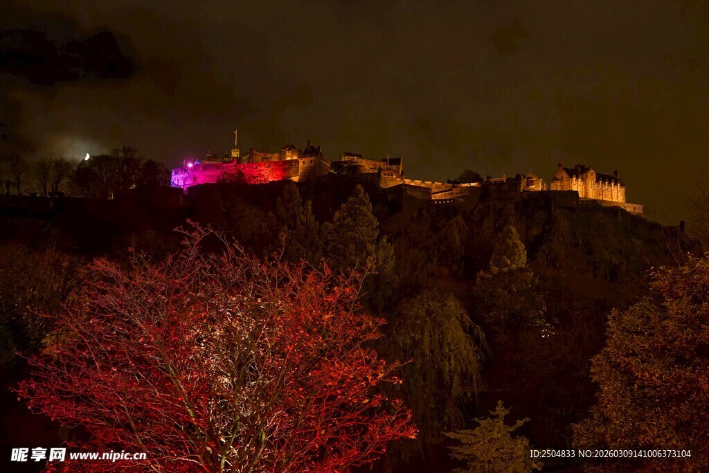 夜晚山林中的梦幻发光景象