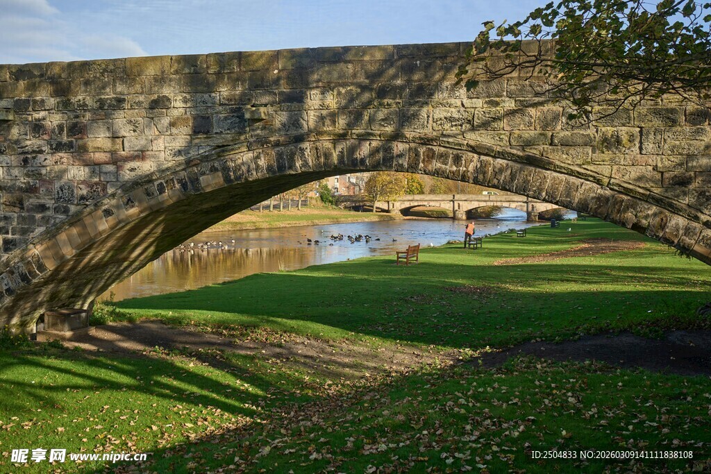 石拱桥下的宁静绿地风光