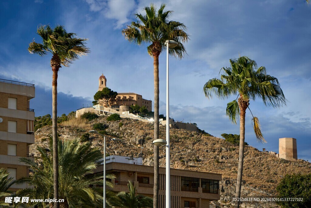 山丘上的建筑与棕榈树景观