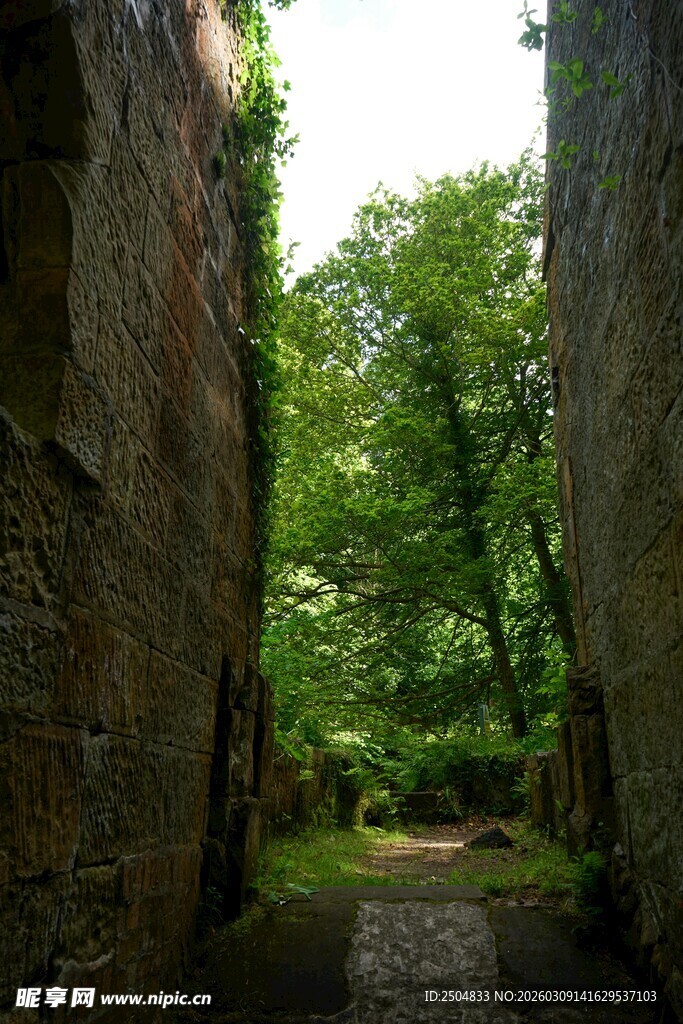 石砌小巷隐于绿意之中