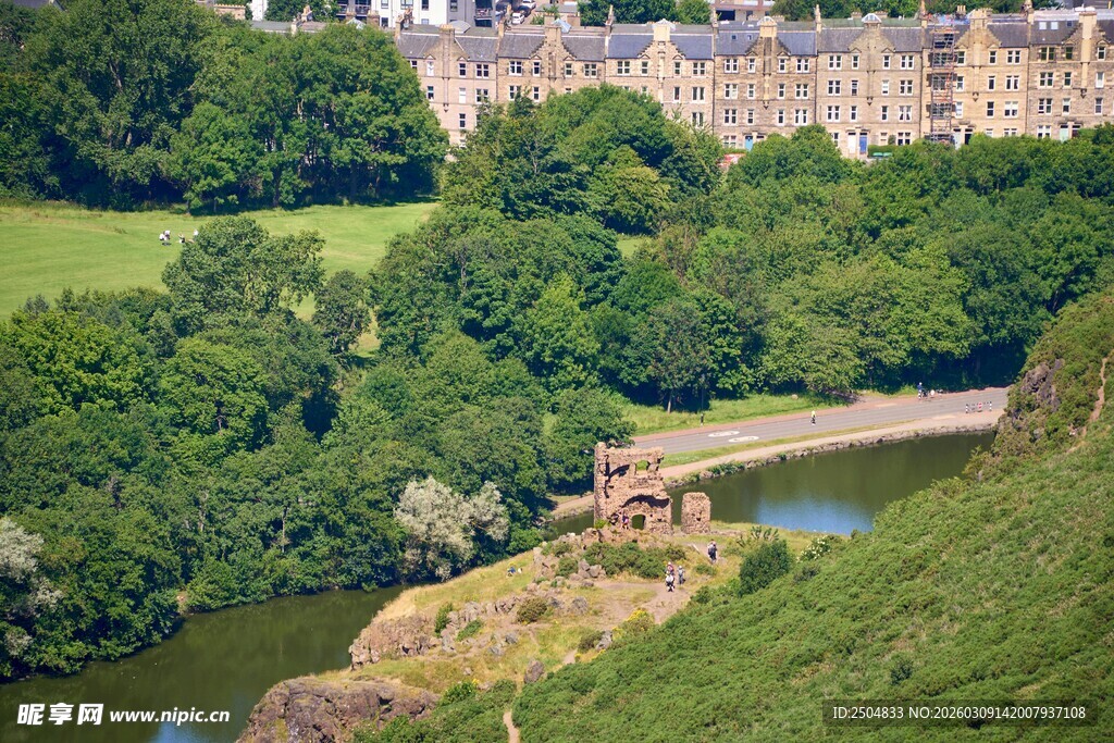 河畔葱郁树林中的美丽景致