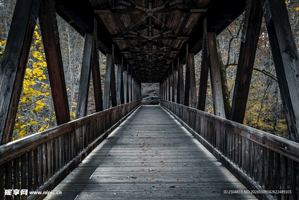 秋日木桥 幽径通远方