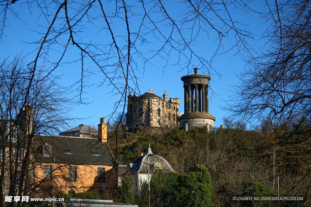 古老城堡隐匿于树林之中