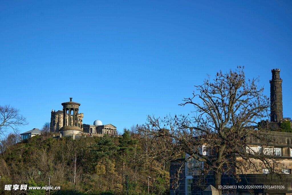 山丘上的建筑与树木景观