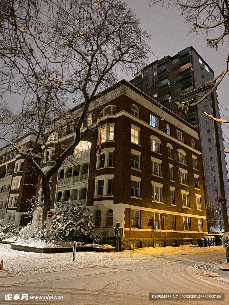 雪夜中的复古建筑景观