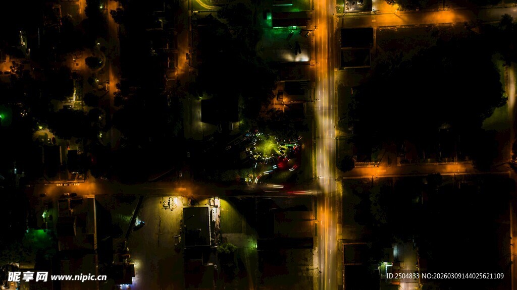 夜晚灯光下的繁茂绿植