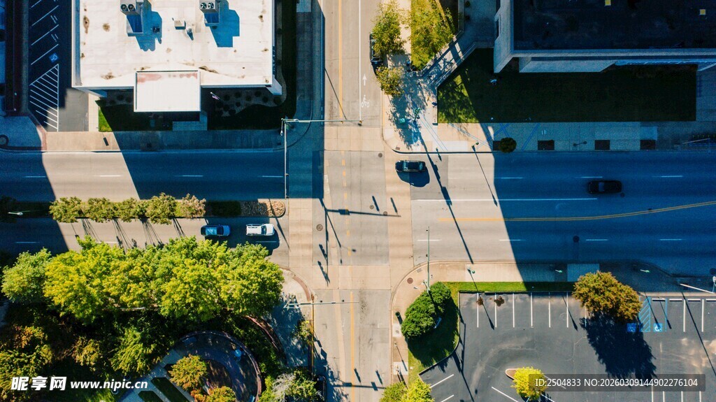 城市空中俯瞰绿植与建筑