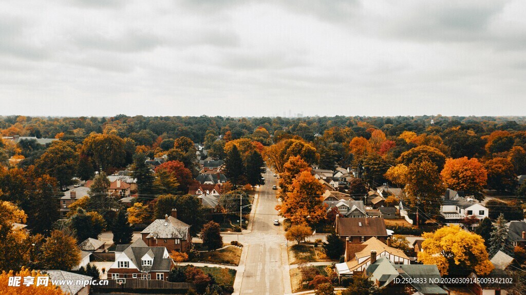 秋日俯瞰多彩树林景观