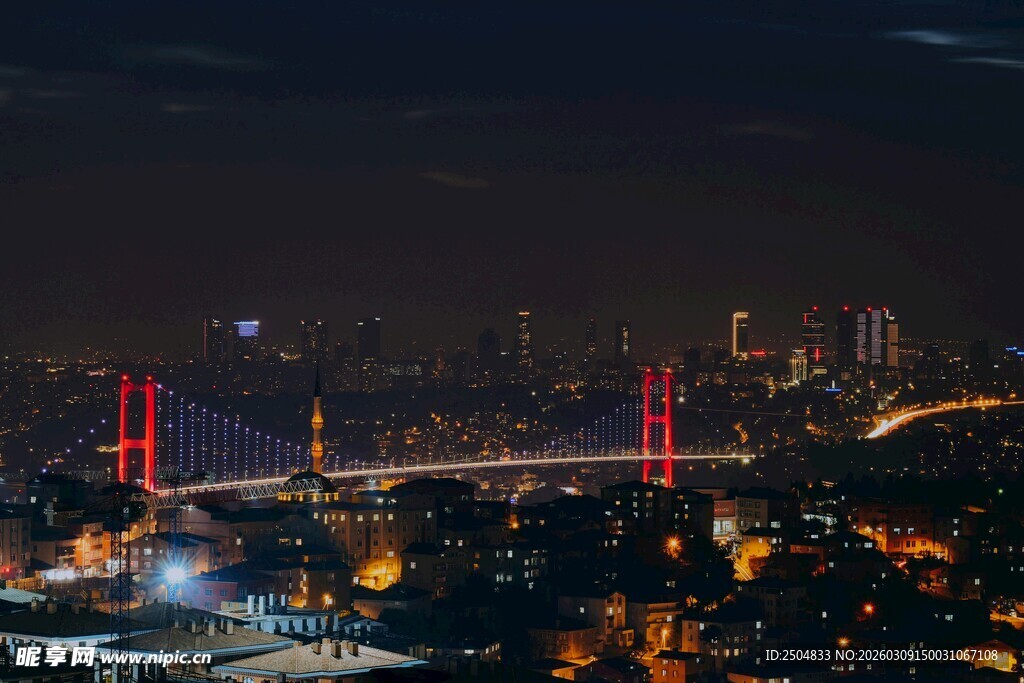 伊斯坦布尔夜景璀璨大桥