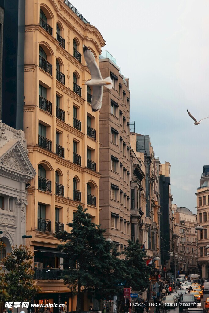 城市街道旁的多彩建筑