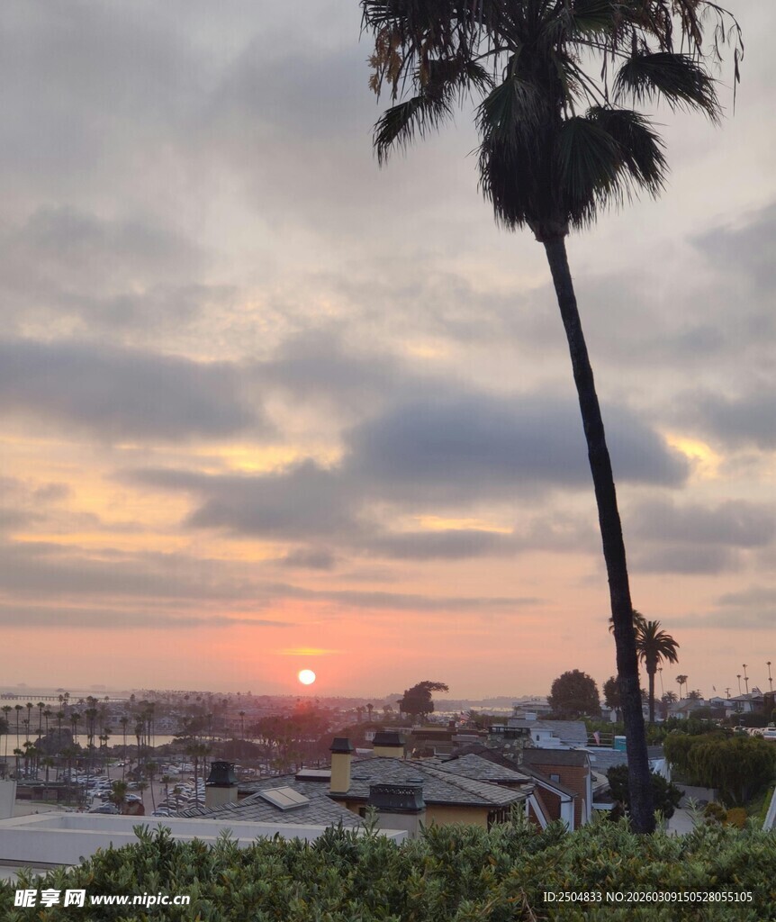 夕阳下的棕榈树与城市景观