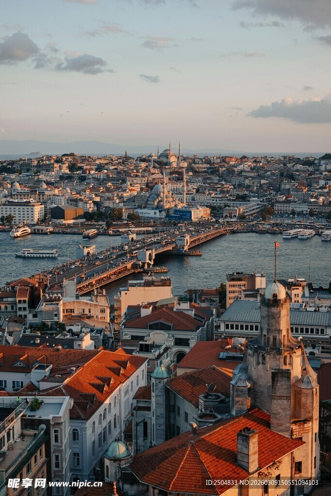 城市风光俯瞰美丽红顶建筑