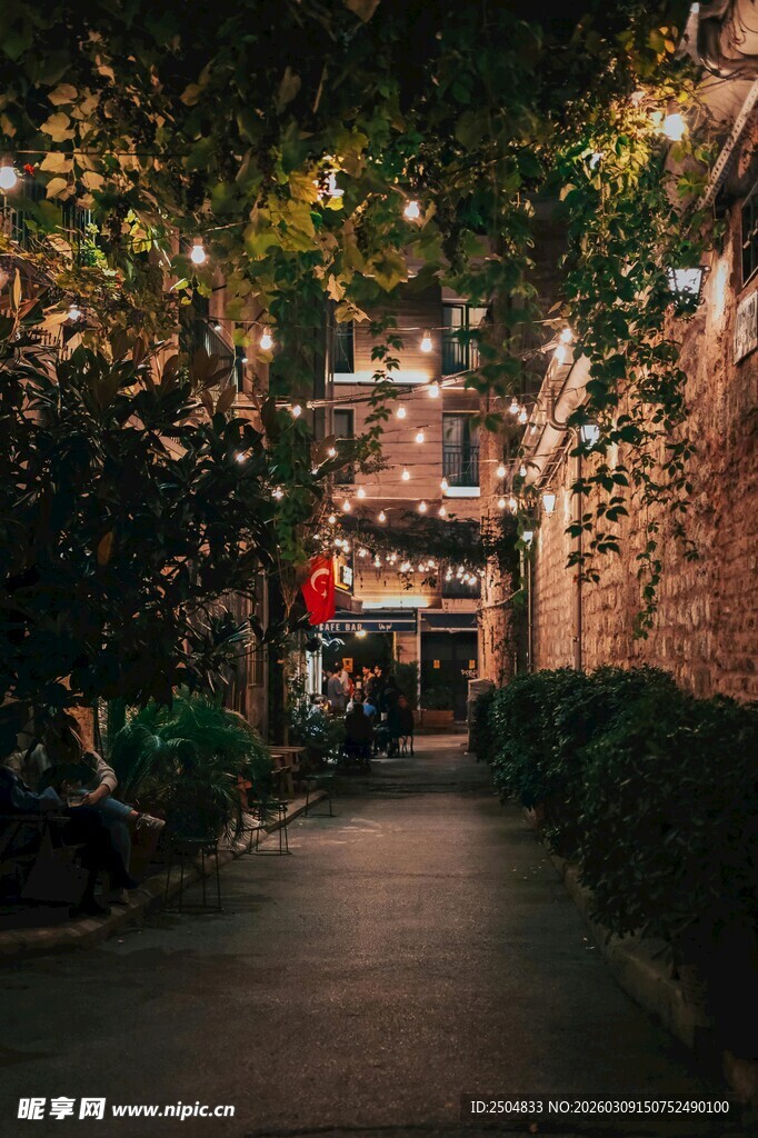 浪漫灯光下的绿植小巷