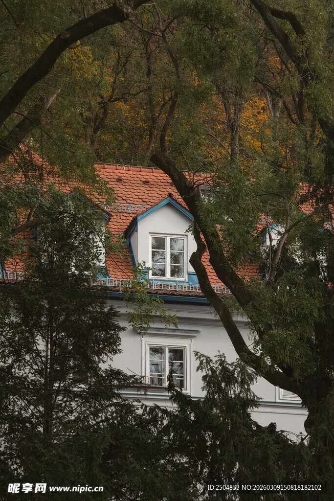 林间隐现的红顶白屋