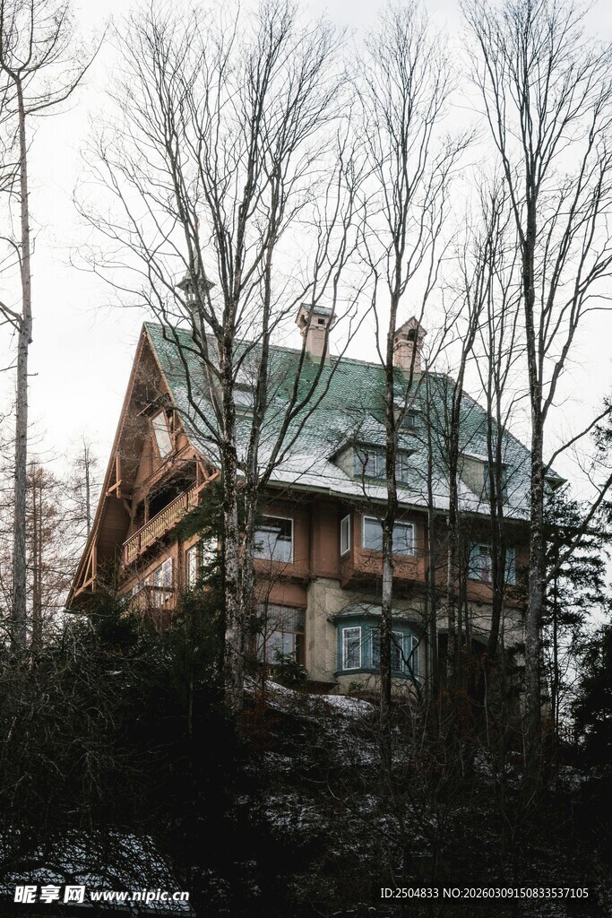 林间木屋 静谧的自 居所