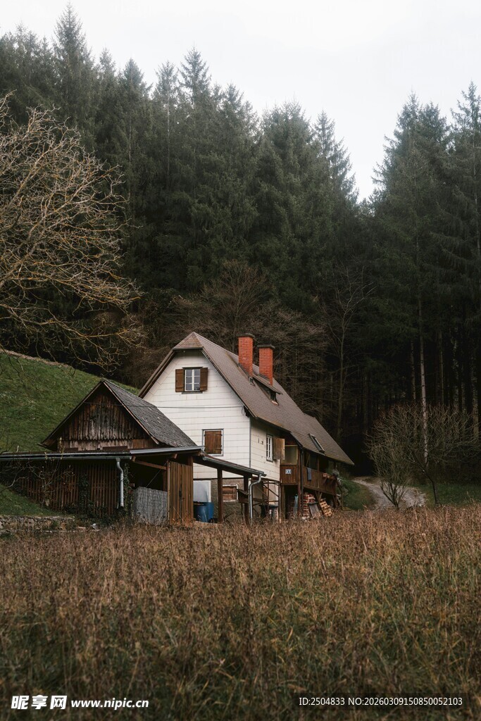乡村林间小屋