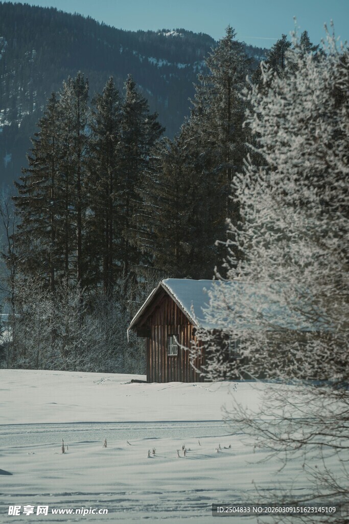 雪覆山林中的静谧小木屋