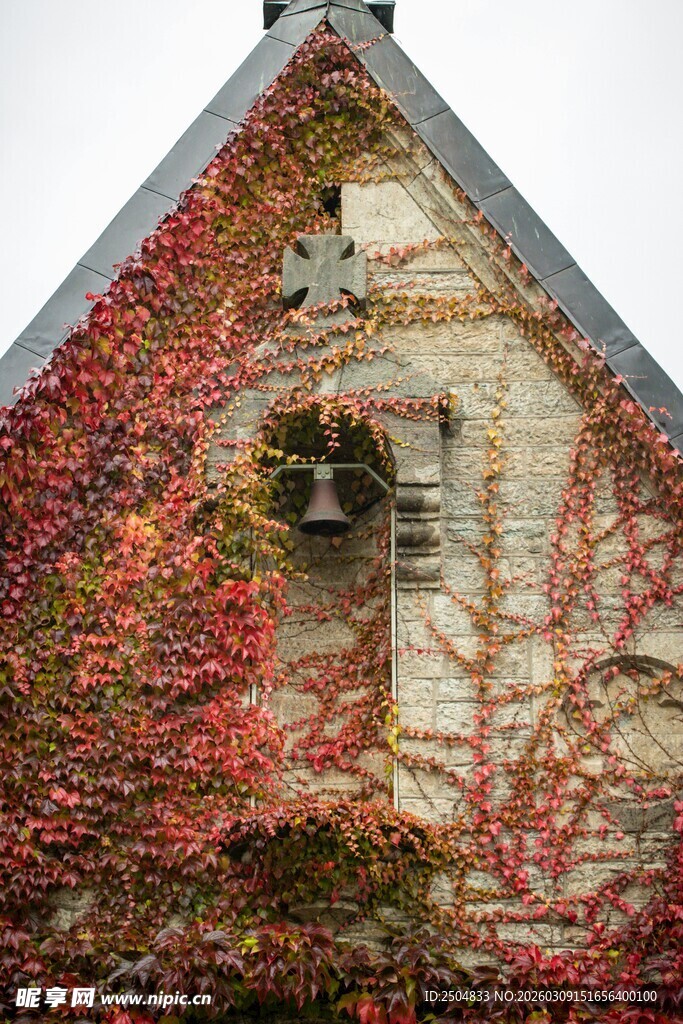 爬满红叶的古朴小屋