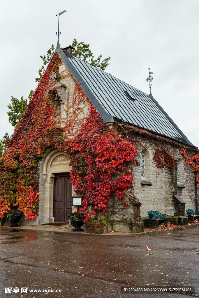 秋日爬满红叶的古朴小屋