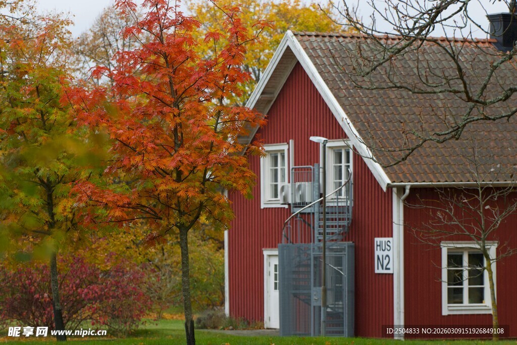 秋日红屋 尽显自然之美